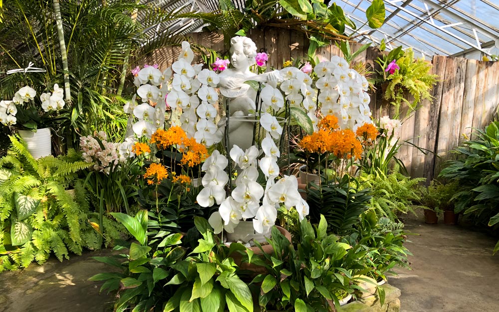 orchids surrounding a cherub statue