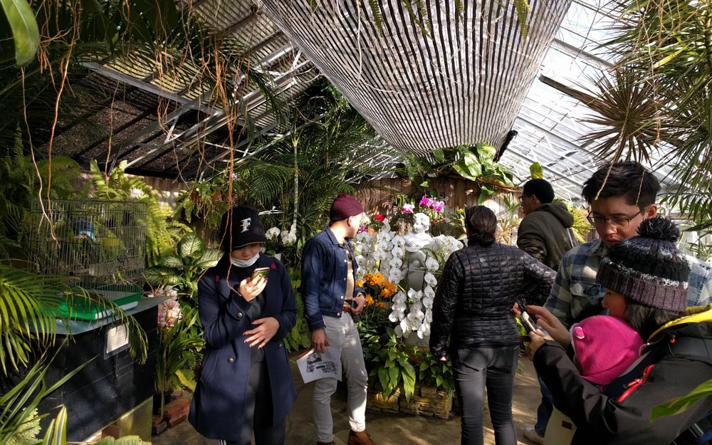 tofugu team in a greenhouse