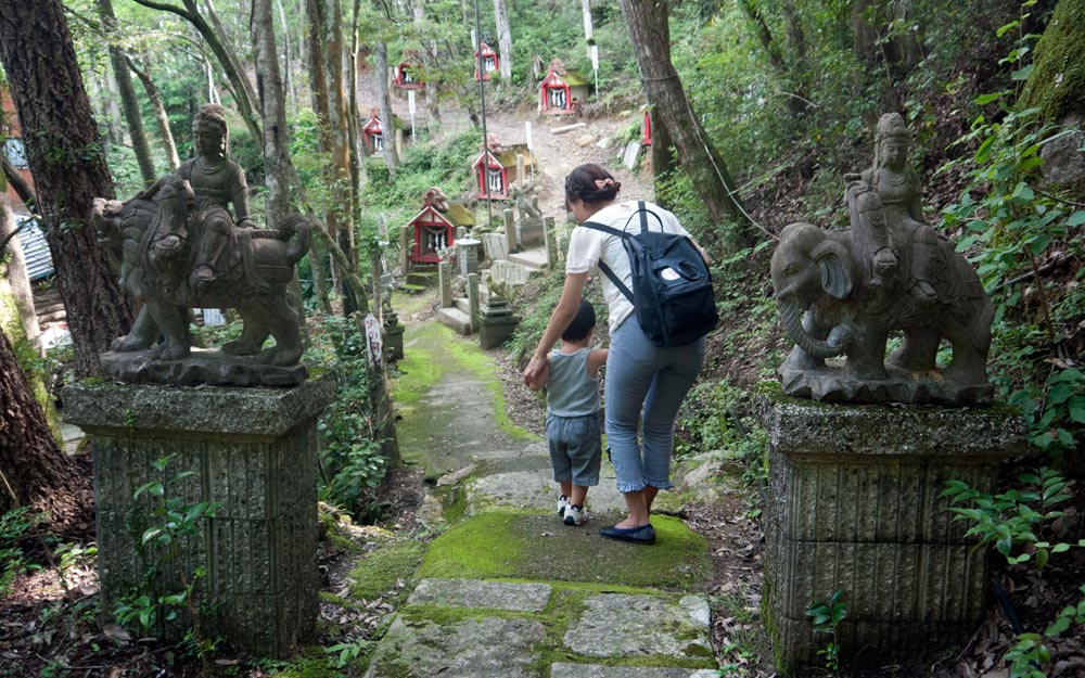 forest path leading to inari shrines