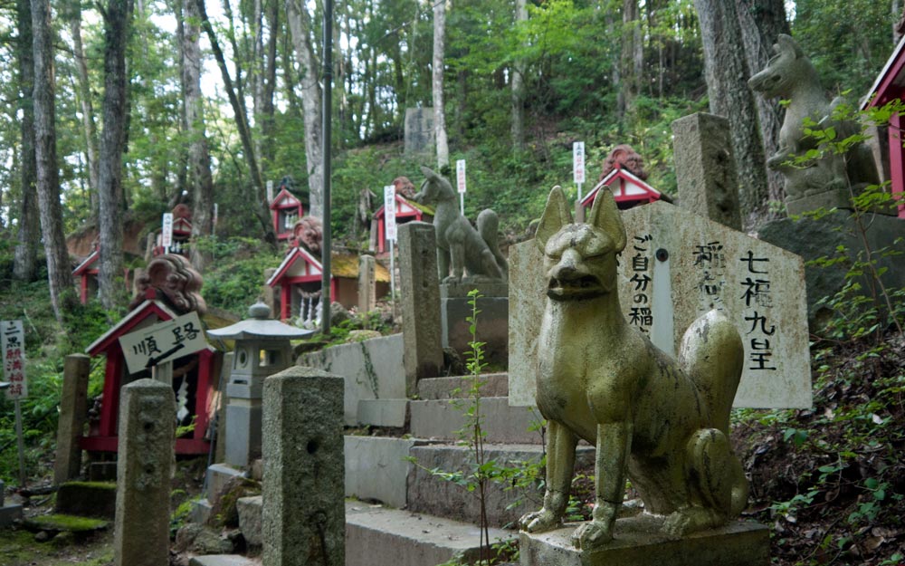 dozens of inari shrines and fox statues in aichi prefecture