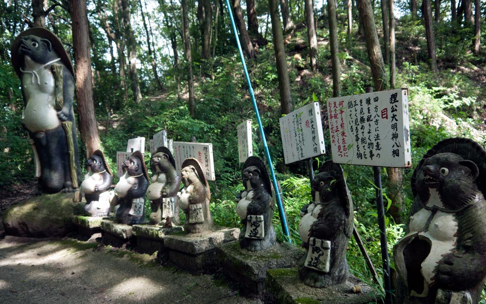 eight tanuki statues on temple path