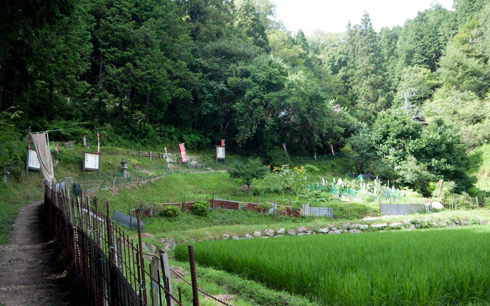 green garden at futendo