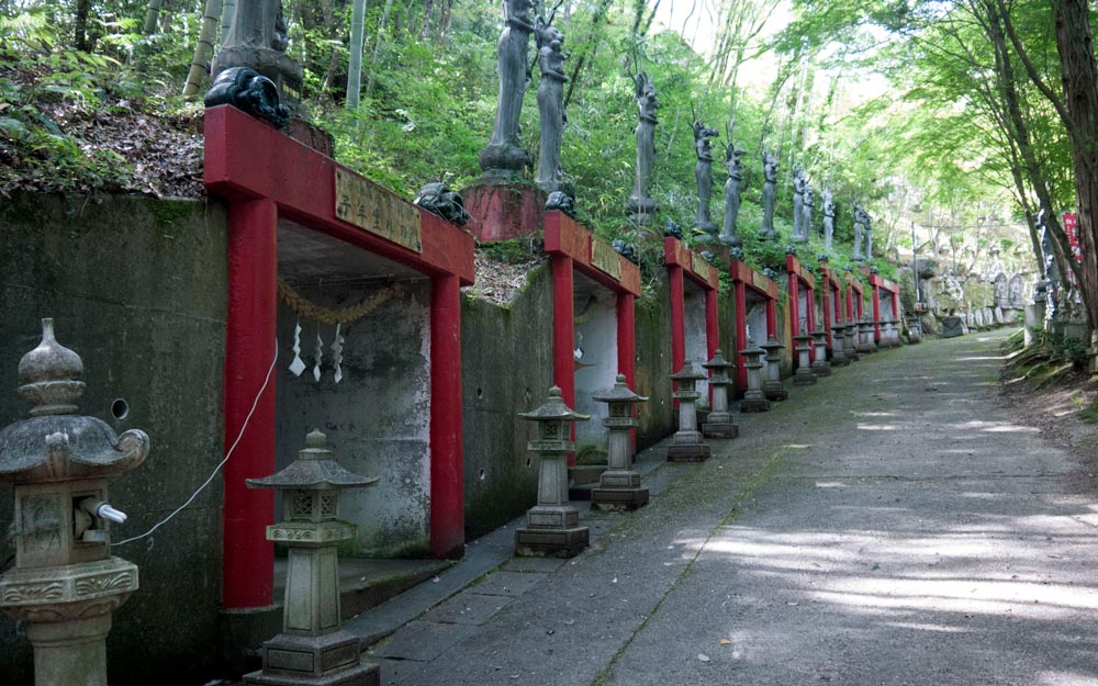 temple path lined with stone lanterns and torii gates