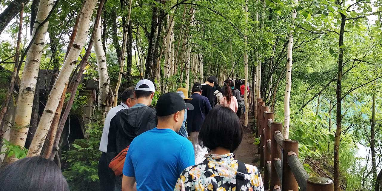 a path along Aoi Ike Pond