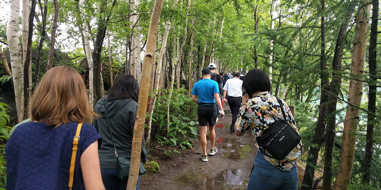 muddy path and some puddles