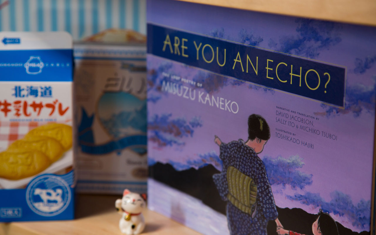 photo of the are you an echo book