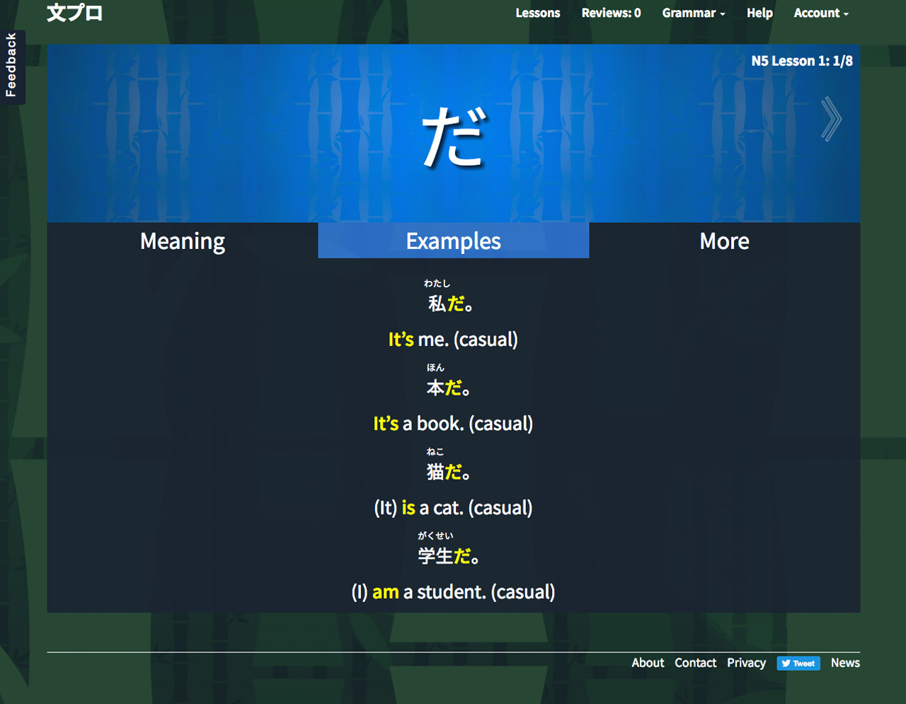 screenshot bunpro japanese grammar app